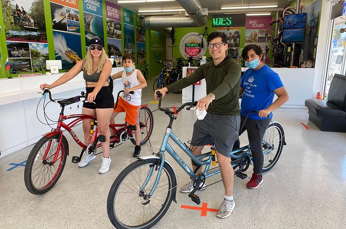 South Beach Tandem Bike Rental - Wynwood Walls: A Neighborhood You Can Reach, Not Just Promise