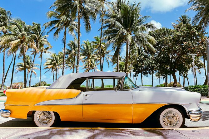 South Beach Top Highlights Tour with Lincoln Rd and Espanola Way - Who Should Book This South Beach Top Highlights Tour?