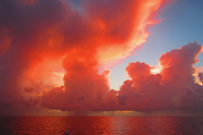 Sunset Sail in Miami: Complimentary Champagne Toast - Who This Sunset Sail Fits Best
