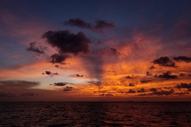 Sunset Sail in Miami: Complimentary Champagne Toast - Should You Book This Sunset Sail in Miami?