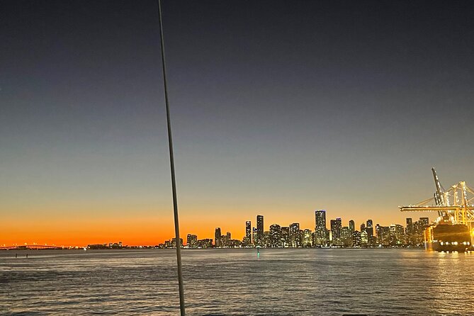 Top rated two Hour Miami Night Skyline Cruise with Open Bar - Downtown Miami skyline after dark, plus what you can catch around Bayside