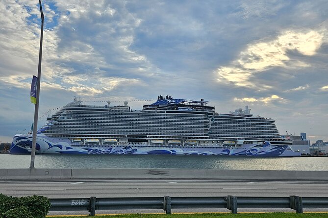 Transfer from Port Miami to Miami Airport. Up to 11 passengers. - Dropping at Miami International Airport: what to expect at arrival