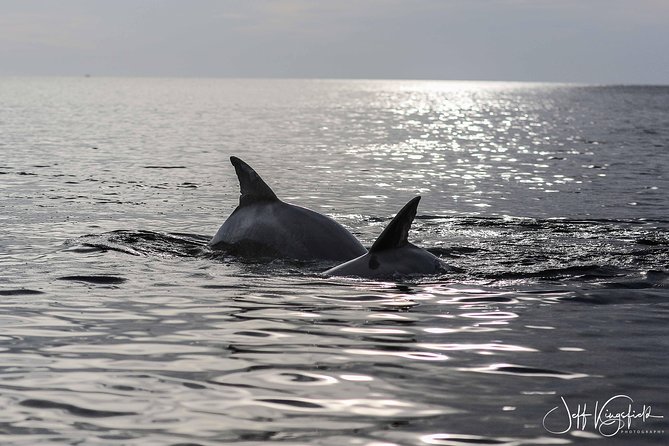 Two-Hour Everglades Dolphin, Manatee and Birding Boat Tour - The Boat Setup: Comfort, Heat, and Safety Realities