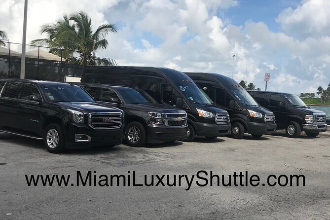 VAN Mia Airport or Hotels to Miami Port or Hotels Up to 14pax - PortMiami pickup: where height limits and calm drivers matter