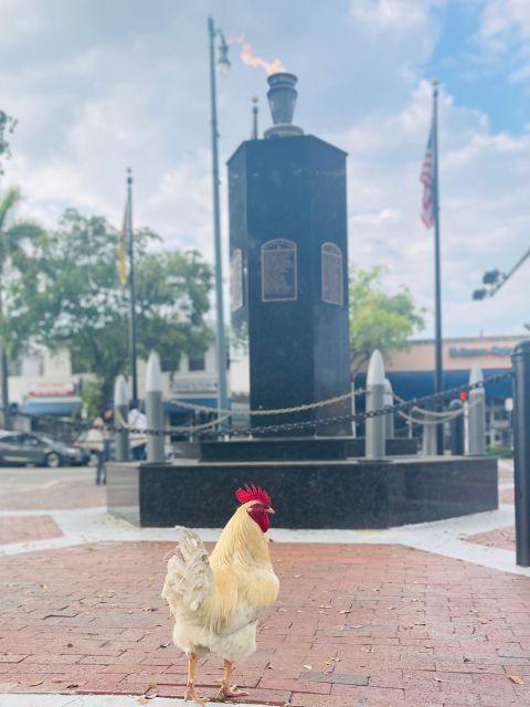 VIP Walking Tour of Little Havana - Key highlights at a glance