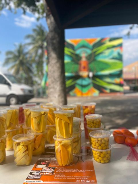VIP Walking Tour of Little Havana - Getting Oriented in Little Havana (Meet at the Bay of Pigs Monument or Domino Park)