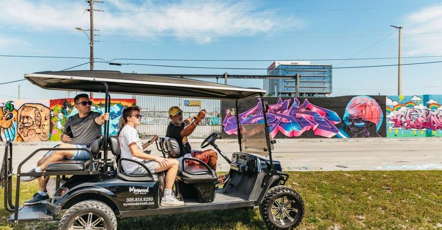 Wynwood Art District 1-Hour Street Art Tour by Golf Cart - Getting Oriented With Wynwood’s Street Art Story