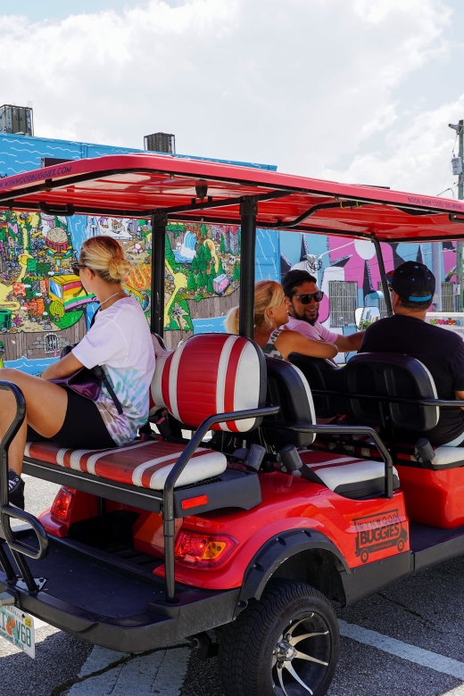 Wynwood Art District 1-Hour Wynwood Buggies Street Art Tour - Learning Wynwood’s history without turning it into a lecture