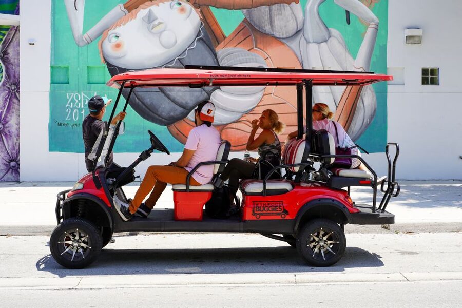 Wynwood Art District 1-Hour Wynwood Buggies Street Art Tour - Price and value: is $45 per person worth it?