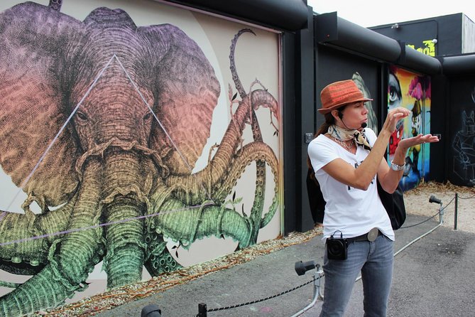 Wynwood Food & Art Tour - exclusive access to the Wynwood Walls - Entering Wynwood Walls with the right kind of guide