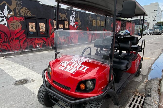 Wynwood Street Art Tour - Artist Lead -VIP Cart - Key things I’d watch for
