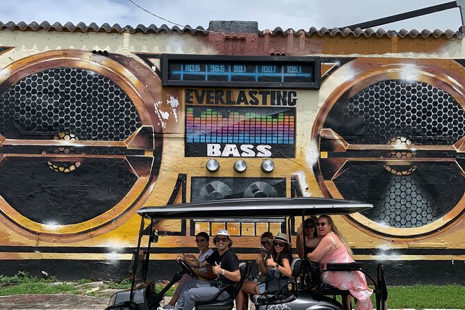 Wynwood Street Art Tour - Artist Lead -VIP Cart - The 1 hour route: Wynwood Art District and Wynwood Walls