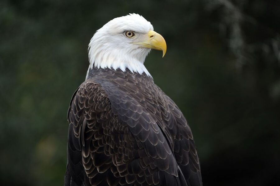 Zoo Miami: General Admission Ticket - Key things to know before you go