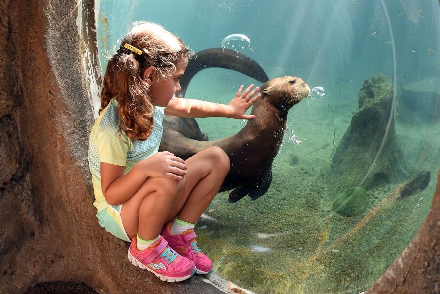 Zoo Miami: General Admission Ticket - Samburu feeding station: the hands-on moment to build the day around