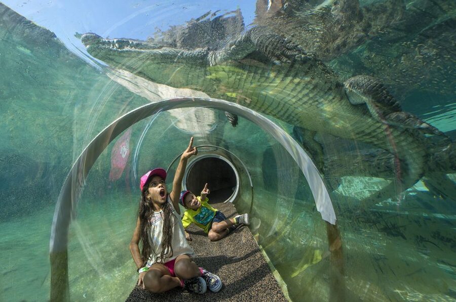 Zoo Miami: General Admission Ticket - Wings of Asia Aviary: birds that actually fly