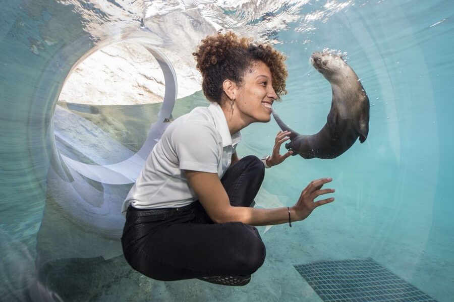 Zoo Miami: General Admission Ticket - Price and value: what $27 buys you