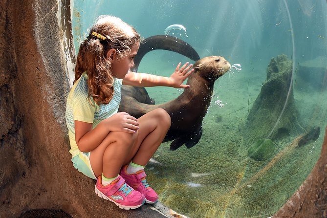 Zoo Miami Ticket with Optional Upgrade - Your 4 to 6 hours: enough time for highlights, not enough for everything