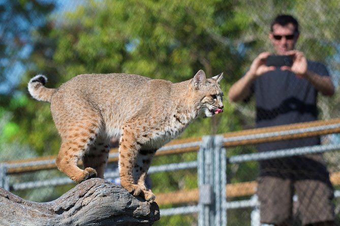 Zoo Miami Ticket with Optional Upgrade - Amazon and Beyond: rainforest exhibits, snakes behind glass, and a big aquarium